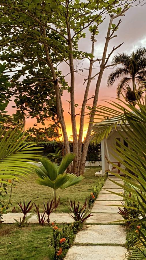 Punta Popy Boutique Hotel (Adults Only) Las Terrenas Exterior photo
