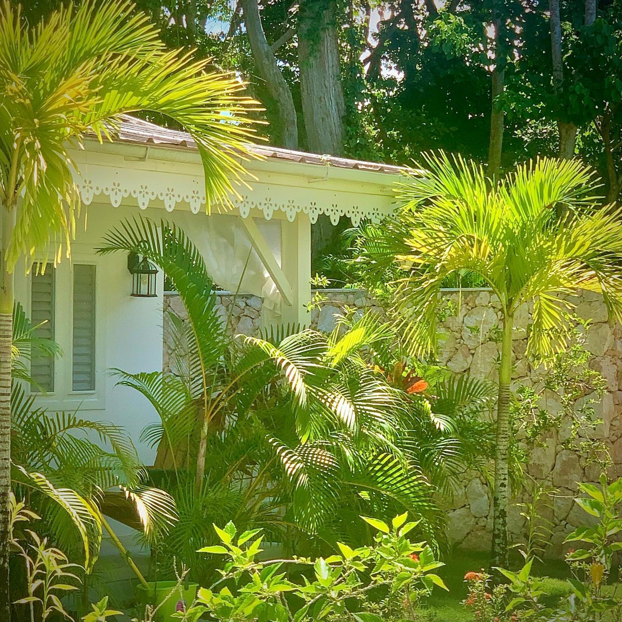 Punta Popy Boutique Hotel (Adults Only) Las Terrenas Exterior photo