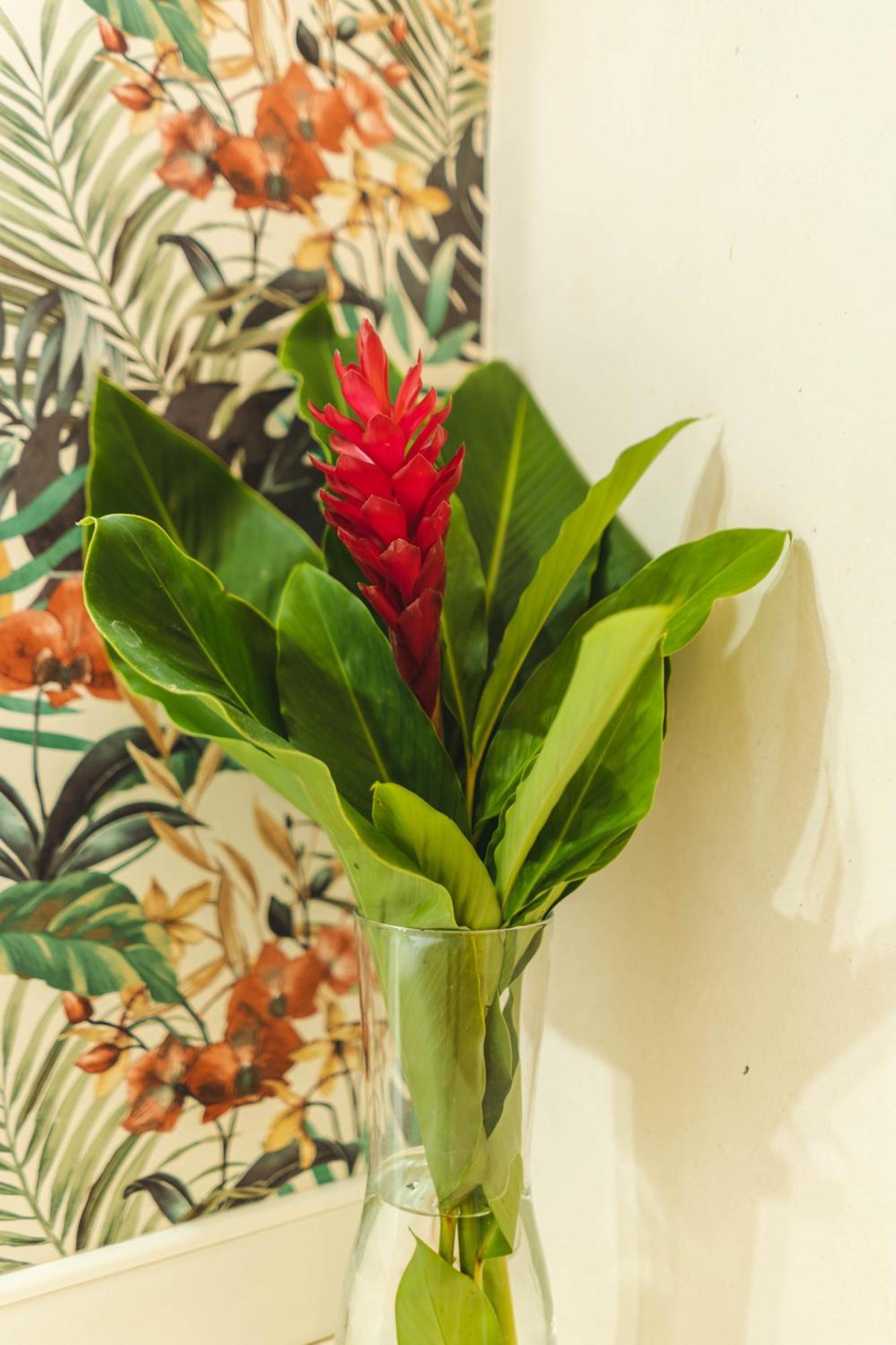 Punta Popy Boutique Hotel (Adults Only) Las Terrenas Room photo
